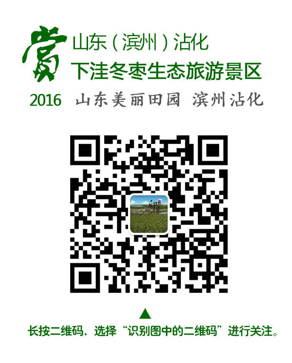 a49750fcaf2b7c7f809a6ddad045d1ed_1-16092314111W48 - 副本.jpg